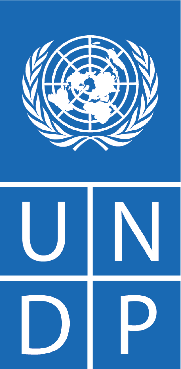 UNDP Logo.png
